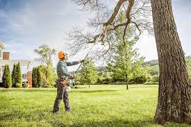 How Our Tree Care Process Works  in  Plattsburgh, NY